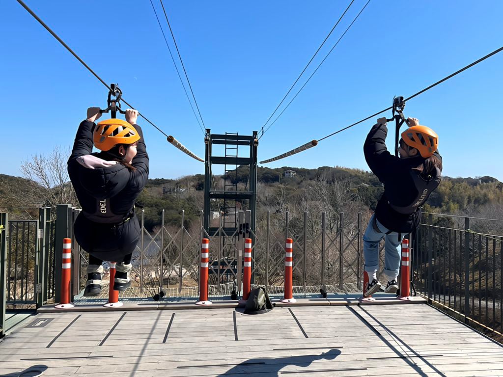 2ccddc0099dcd540cf6f6b9466b0ed