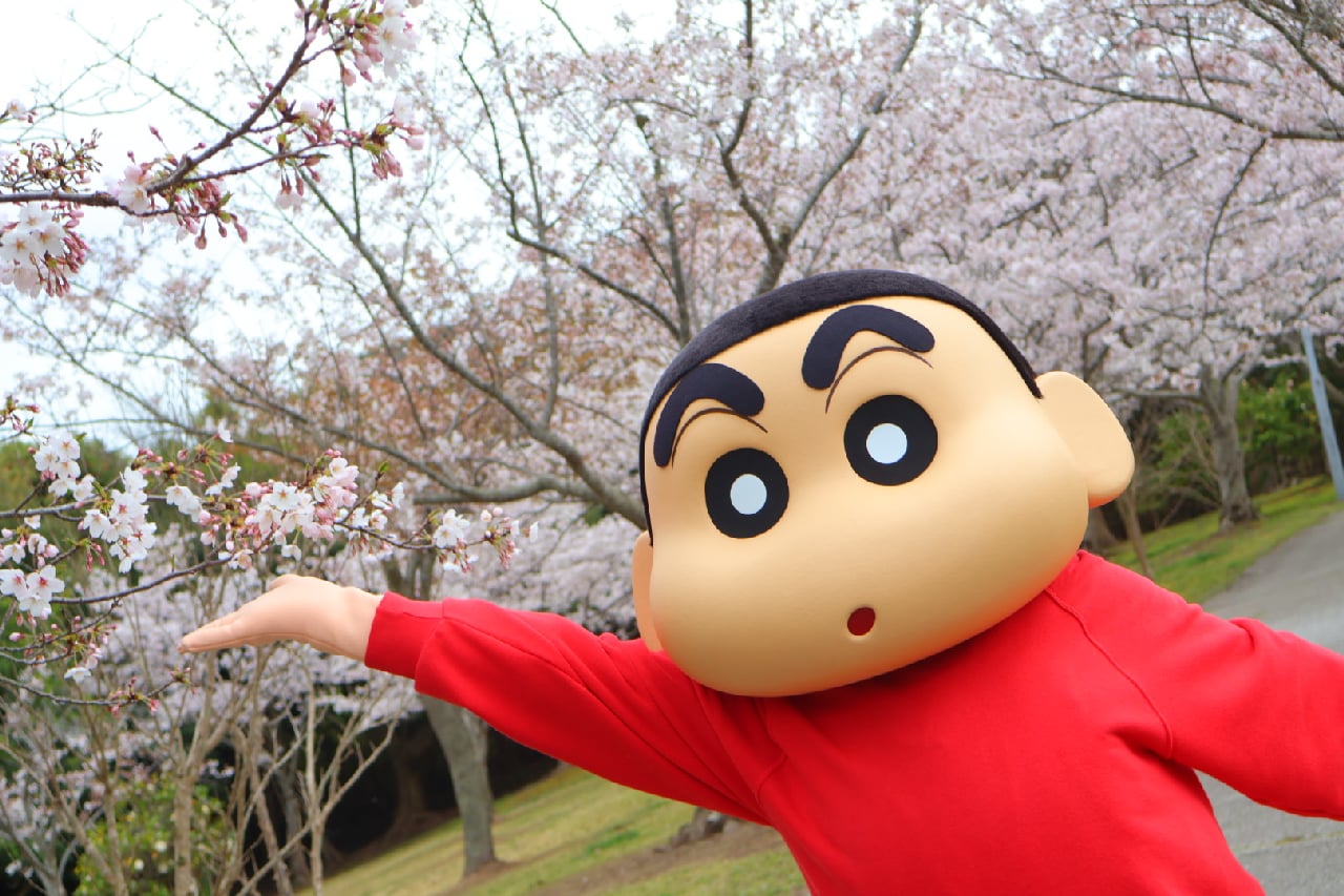 満開のお知らせ！】満開を迎えたクレヨンしんちゃんアドベンチャー