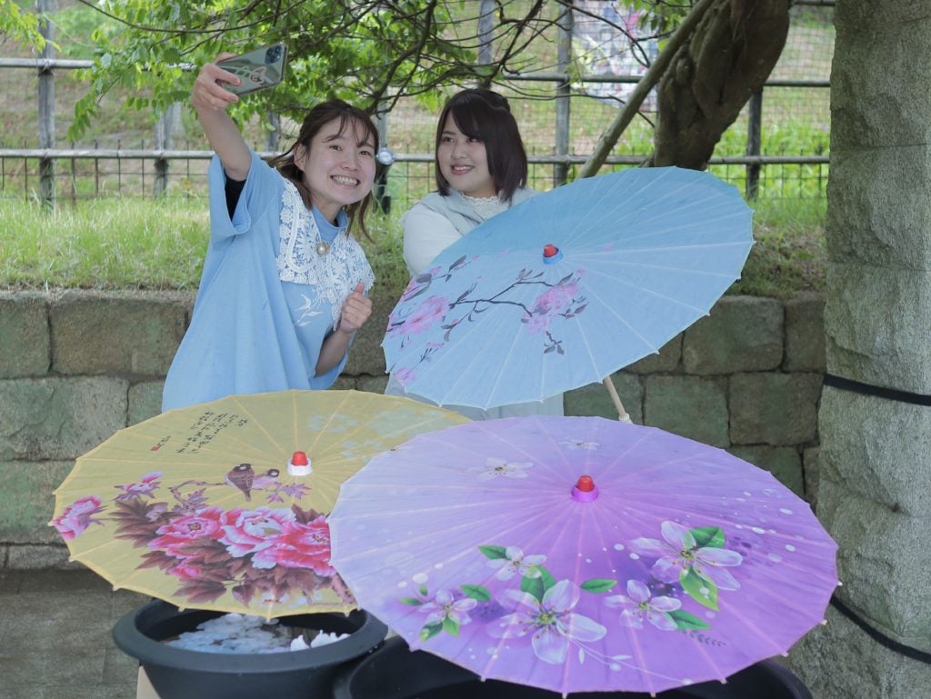 色とりどりの和傘が登場！】雨の時期ならではの映え写真撮影を楽しもう