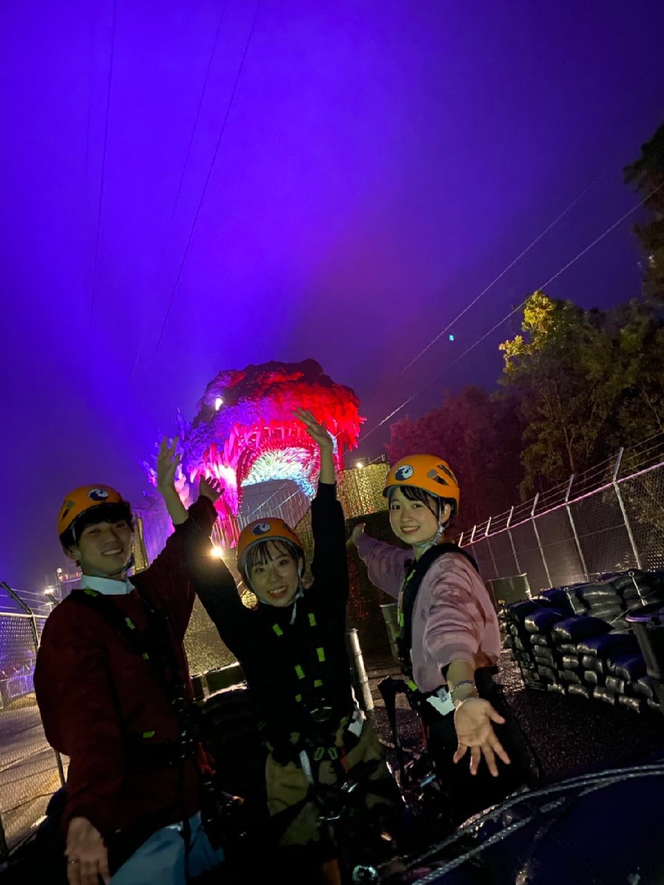 【2箱セット】CLIGRAM コジブライト 楽天市場】【限定特価】【数量限定 復刻モデル】SIGNET 9.5sq 75PC