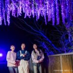 回程途中，欢迎顺道前往二次元之森！